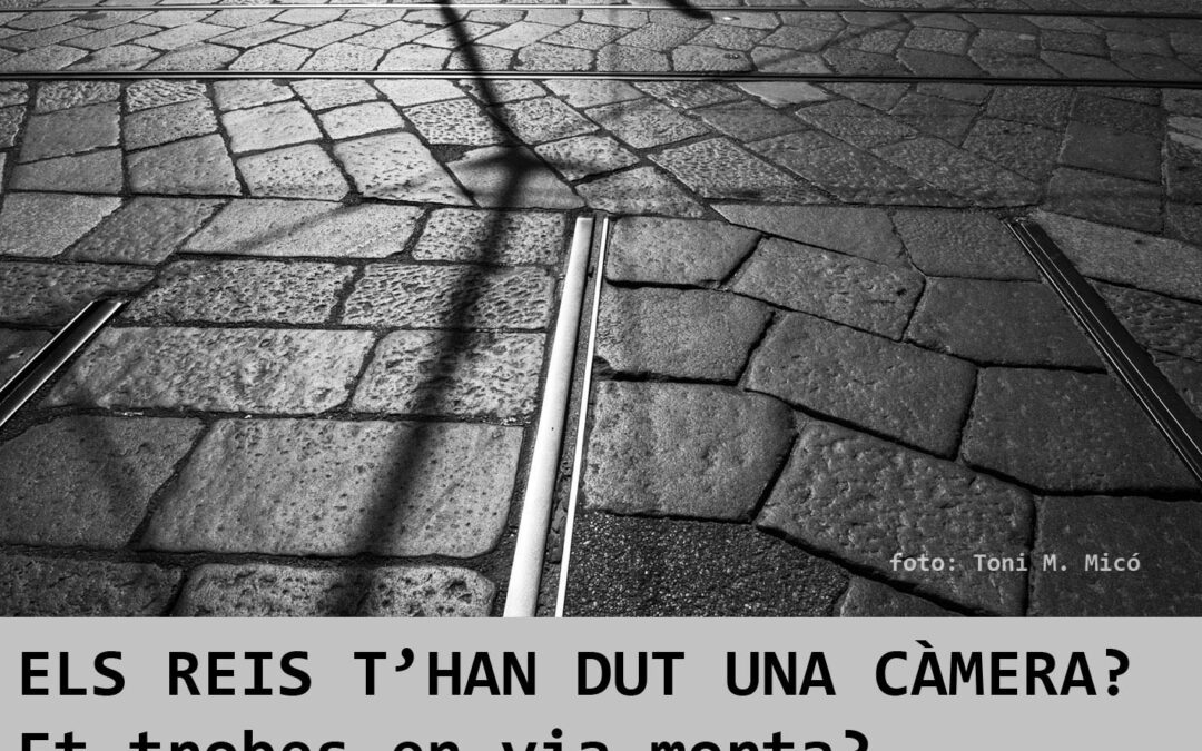 ELS REIS T’HAN DUT UNA CÀMERA?