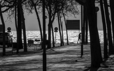 Descobreix els Tallers de Fotografia de Fotoespai: Aprèn, Experimenta i Perfecciona el teu Art